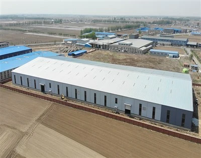 Steel Structure Workshop